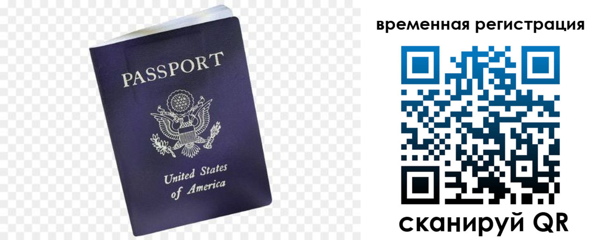 прописка в Электрогорске